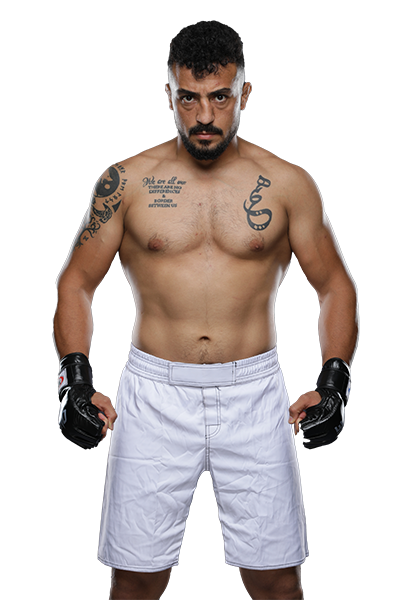 Ali Foladi